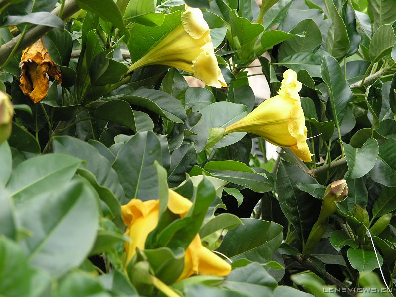 2006_11_22 11_39_44 OLYMPUS DIGITAL CAMERA         